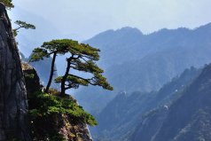 黃山市有什么好玩的景點？黃山市十大旅游景點排名