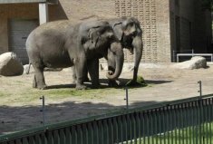 全球10大最神奇的動物園，中國入榜一個！