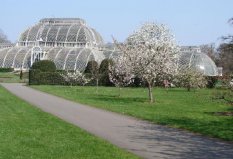 世界十大著名植物園排行榜，柏林植物園位居第九