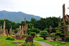 深圳十大城市公園：園博園入榜，仙湖植物園居榜首