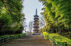 上海著名的六大森林公園，佘山國(guó)家森林公園排第一